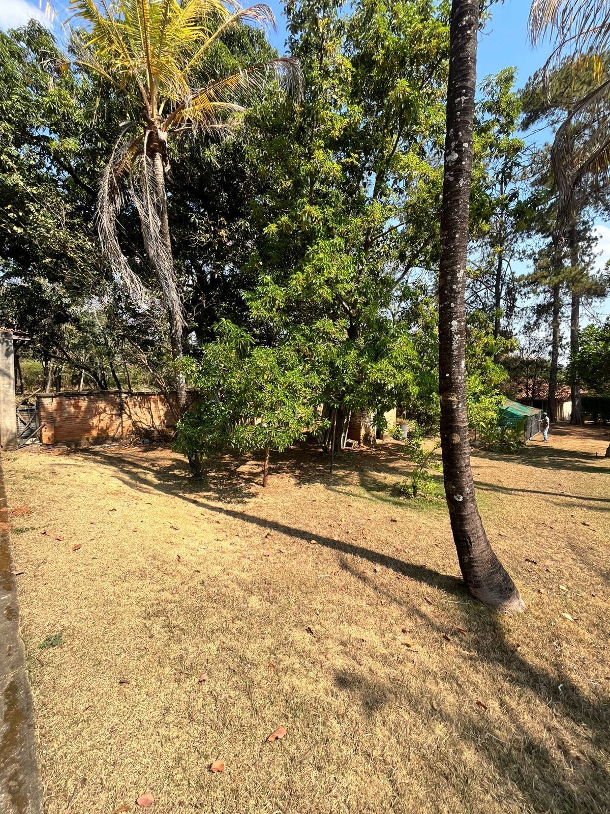 Foto 4 — Sítio à Venda com Vista para a Lagoa - Lagoa dos Mares em Confins