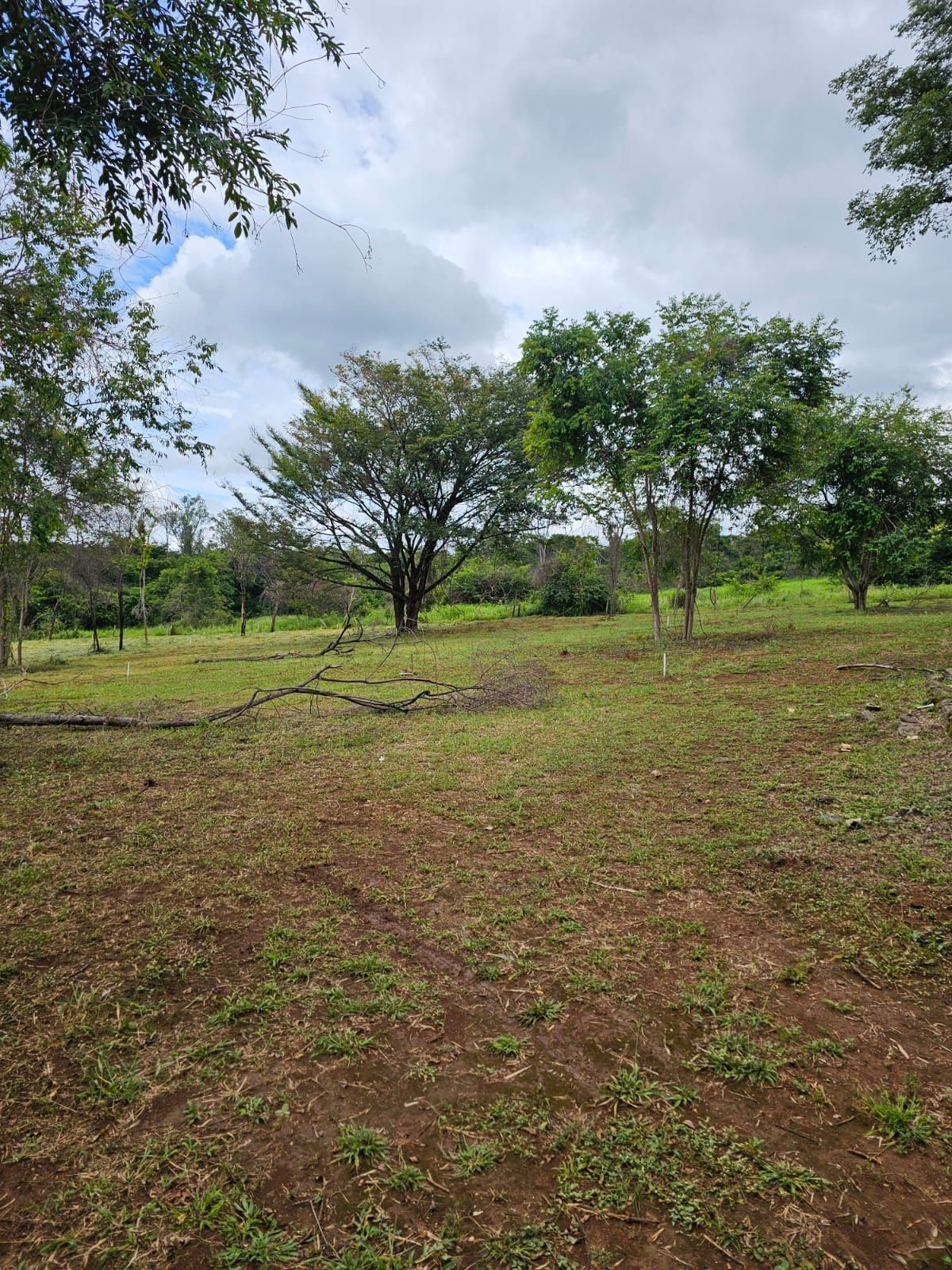 Terreno em Mocambeiro, Matozinhos