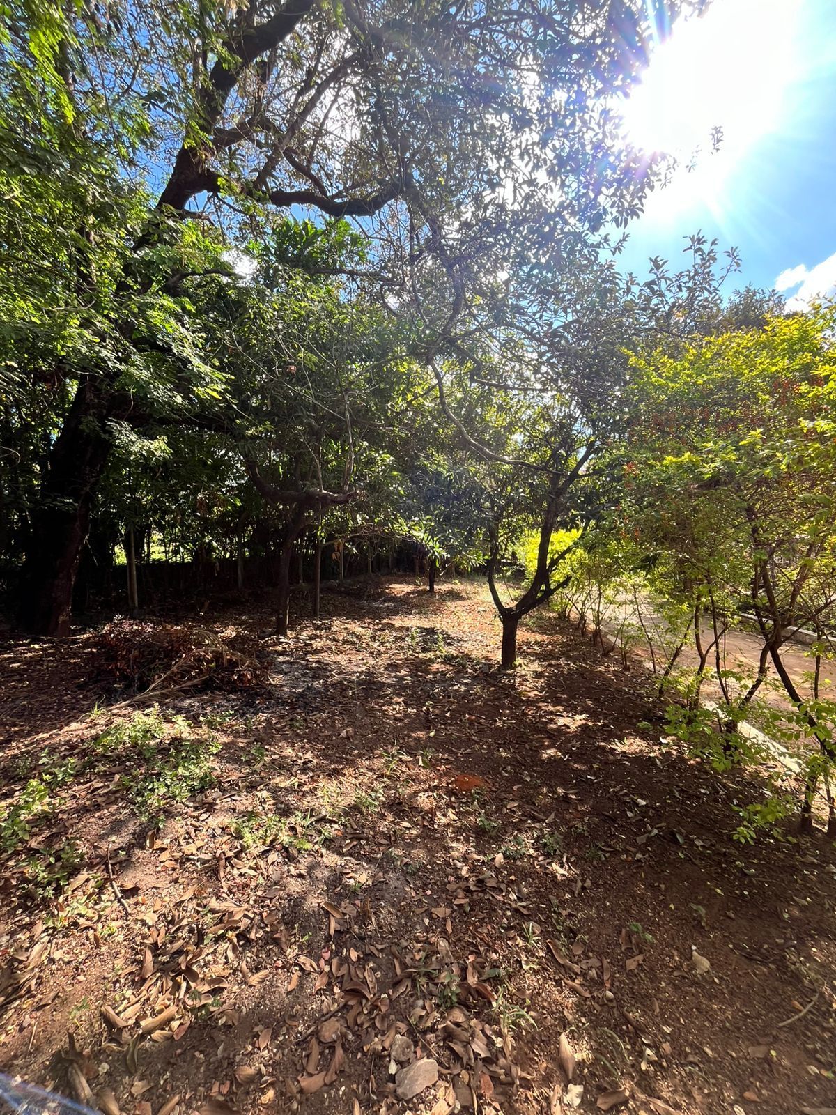 Foto 3 — Sítio à venda em Mocambeiro, Matozinhos