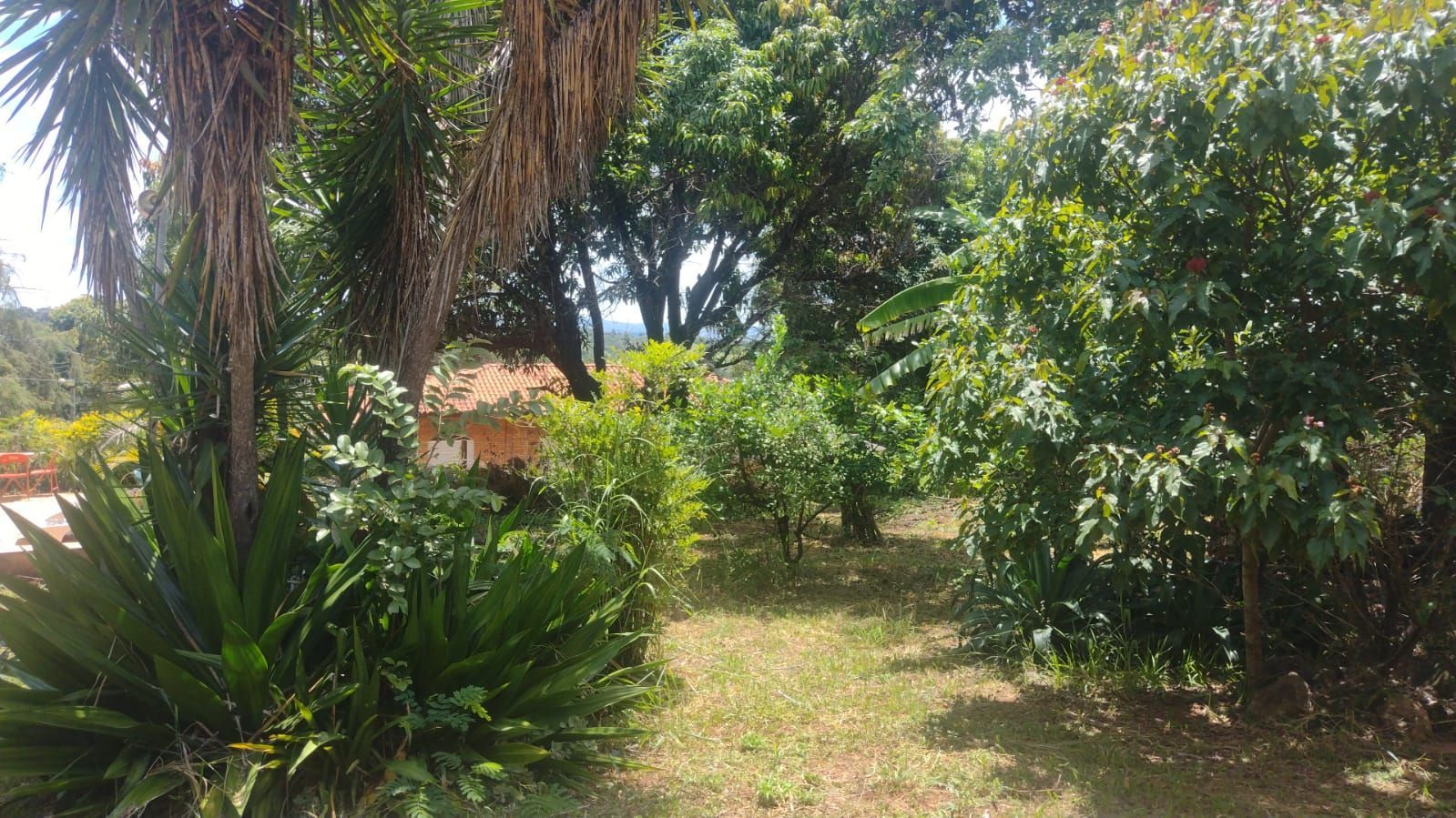 Foto 2 — Lindo Sítio na Quinta das Fazendinhas em Matozinhos