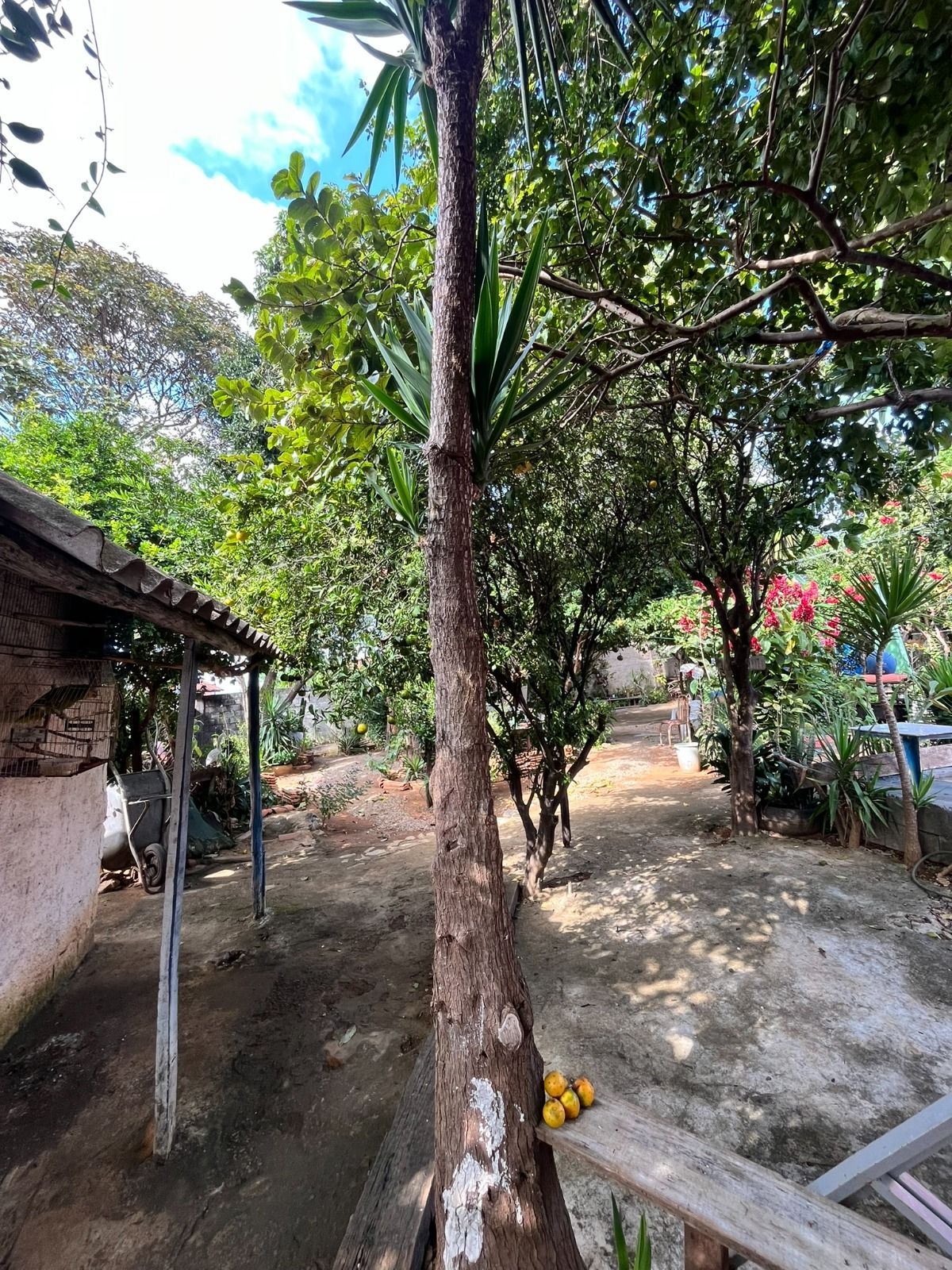 Foto 2 — Casa com loja comercial à venda no Alto dos Aeronautas em Lagoa Santa