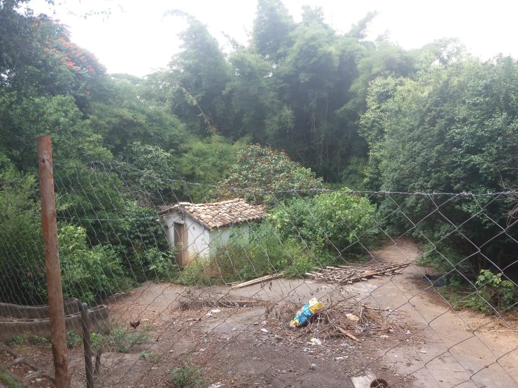 Foto 3 — Terreno de 14mil m² na MG-424 em Pedro Leopoldo