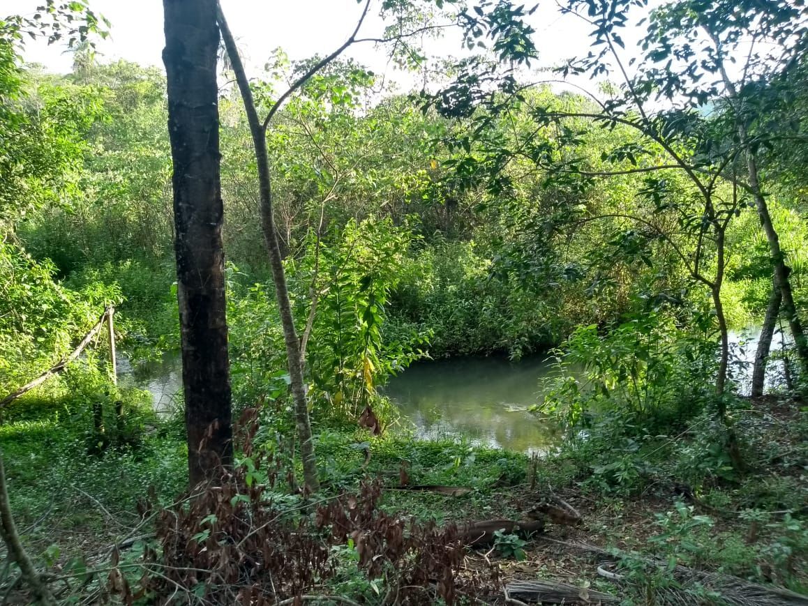 Foto 5 — Terreno de 40.000m² à venda em Funilândia