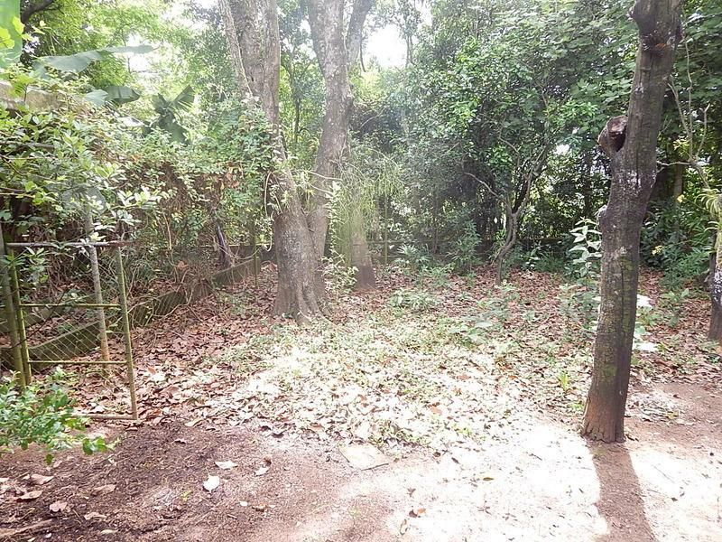 Casa à venda com 3 quartos, 187m² - Foto 50
