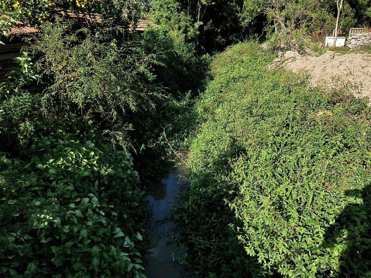 Casa, 4 quartos, 483 m² - Foto 28