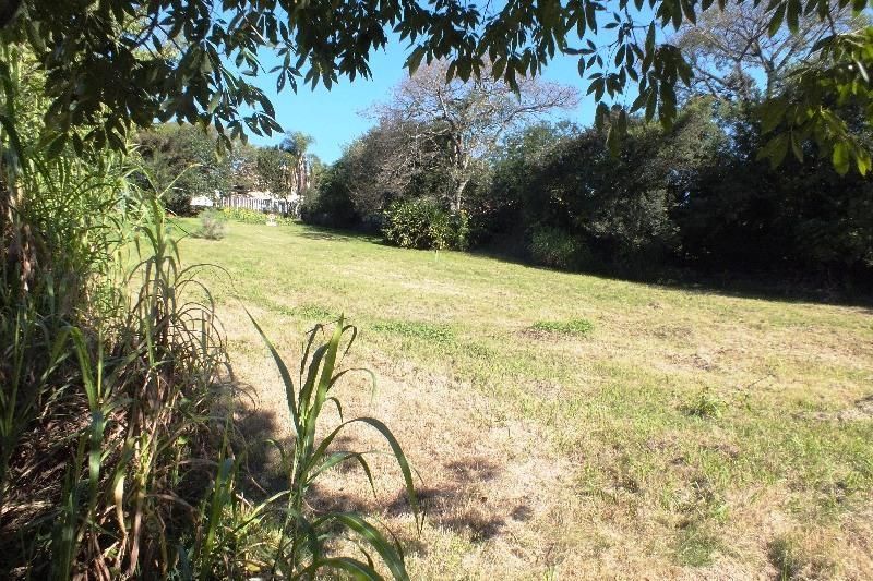 Terreno, 3118 m² - Foto 5