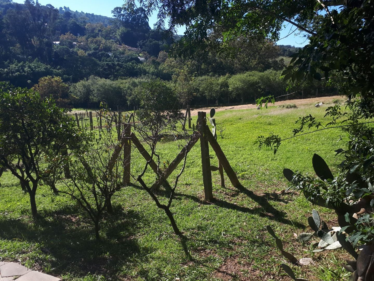 Terreno, 6390 m² - Foto 2