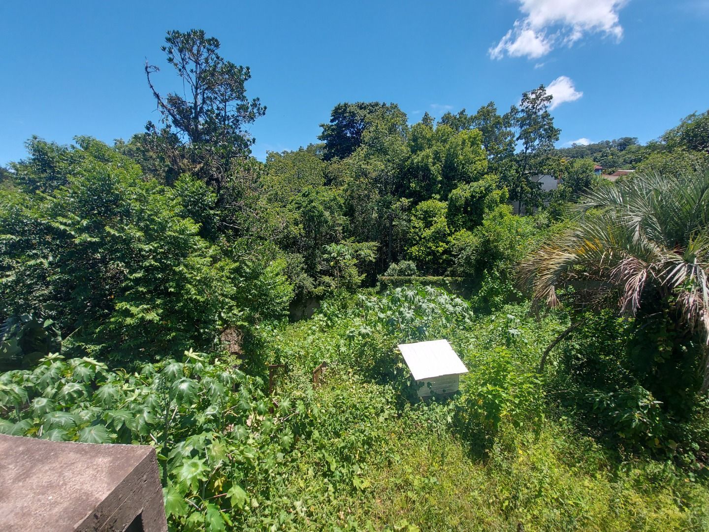 Casa, 4 quartos, 300 m² - Foto 36