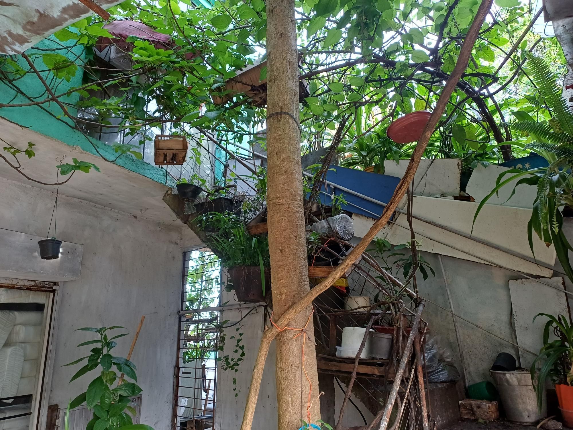 Prédio Inteiro, 300 m² - Foto 6