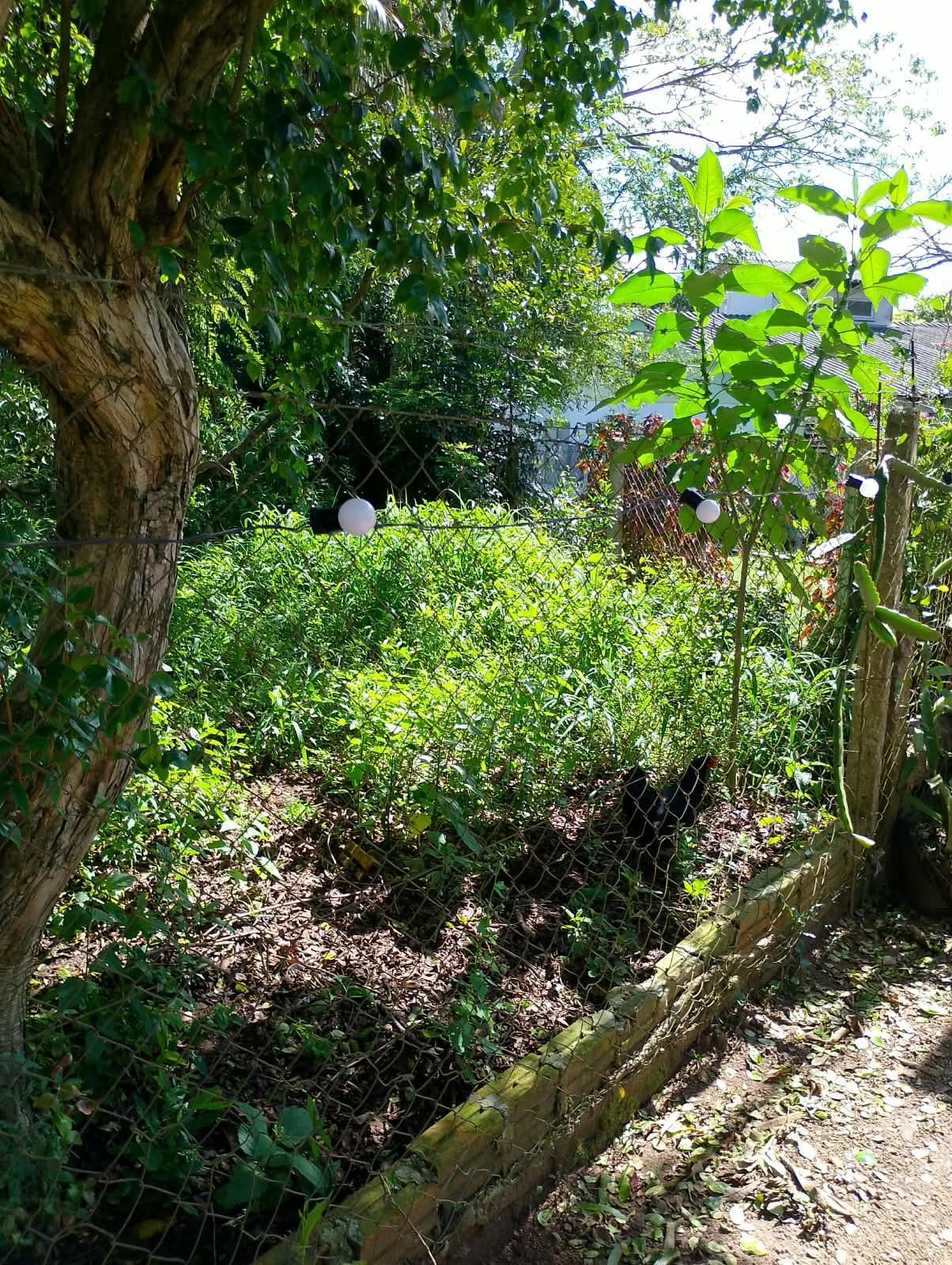 Terreno, 500 m² - Foto 8