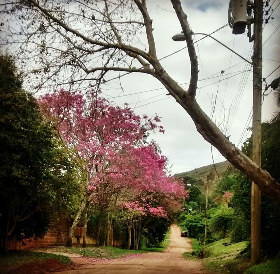 Casa, 3 quartos, 130 m² - Foto 5