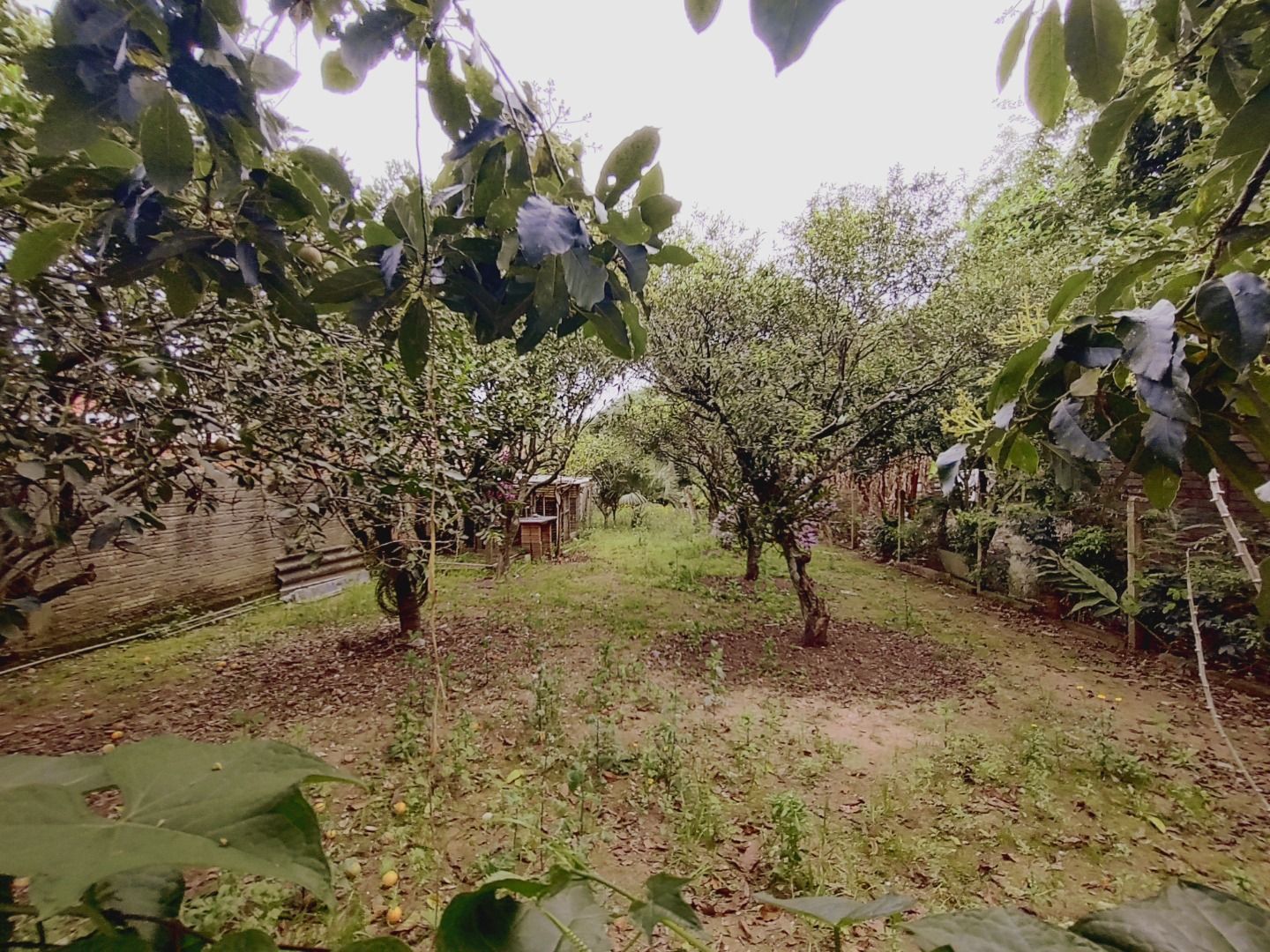 Casa à venda com 2 quartos, 134m² - Foto 4