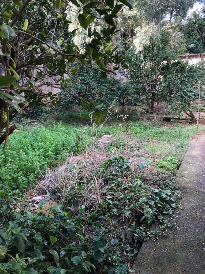 Casa, 3 quartos, 250 m² - Foto 18