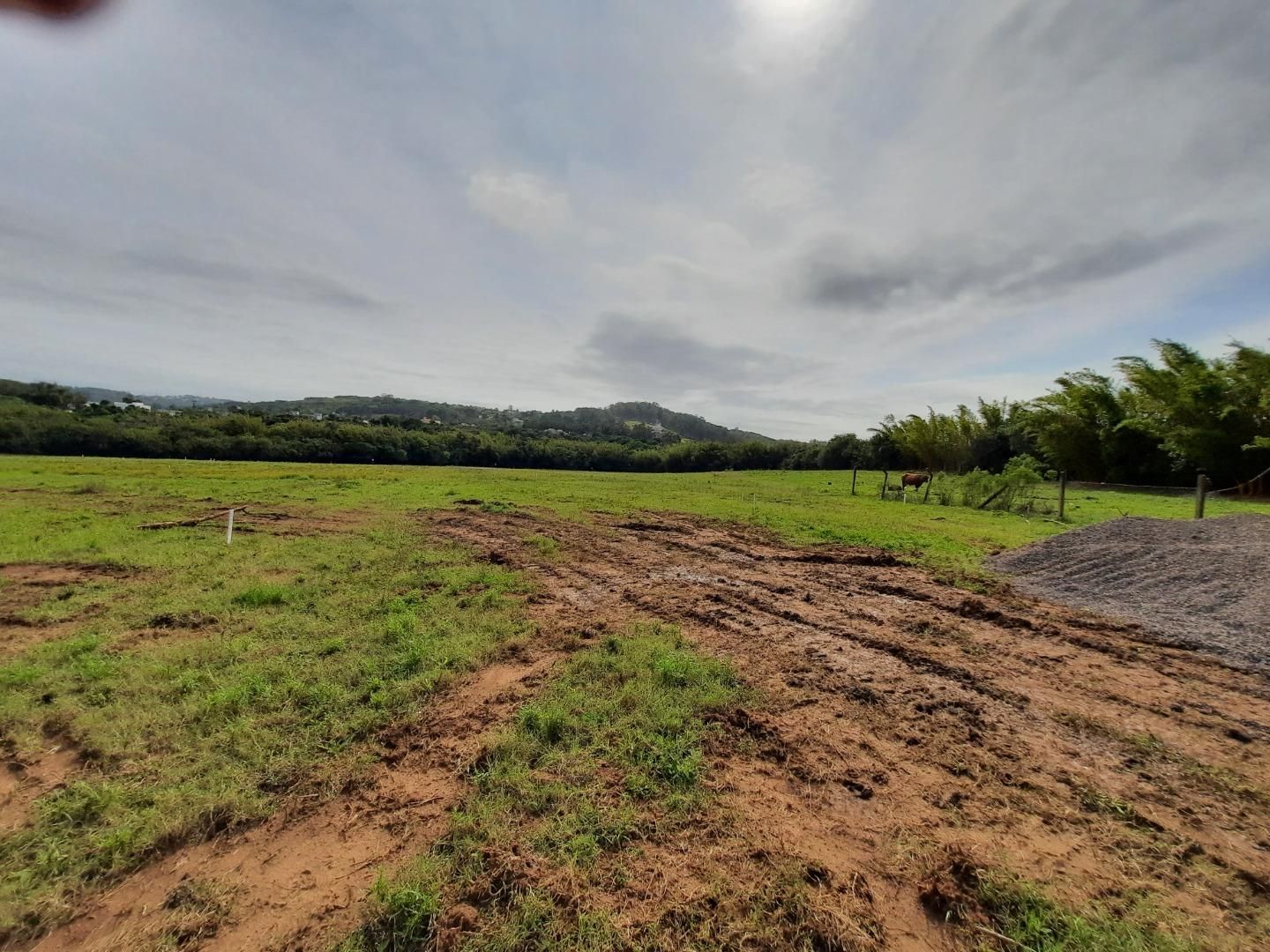 Terreno, 126 m² - Foto 6