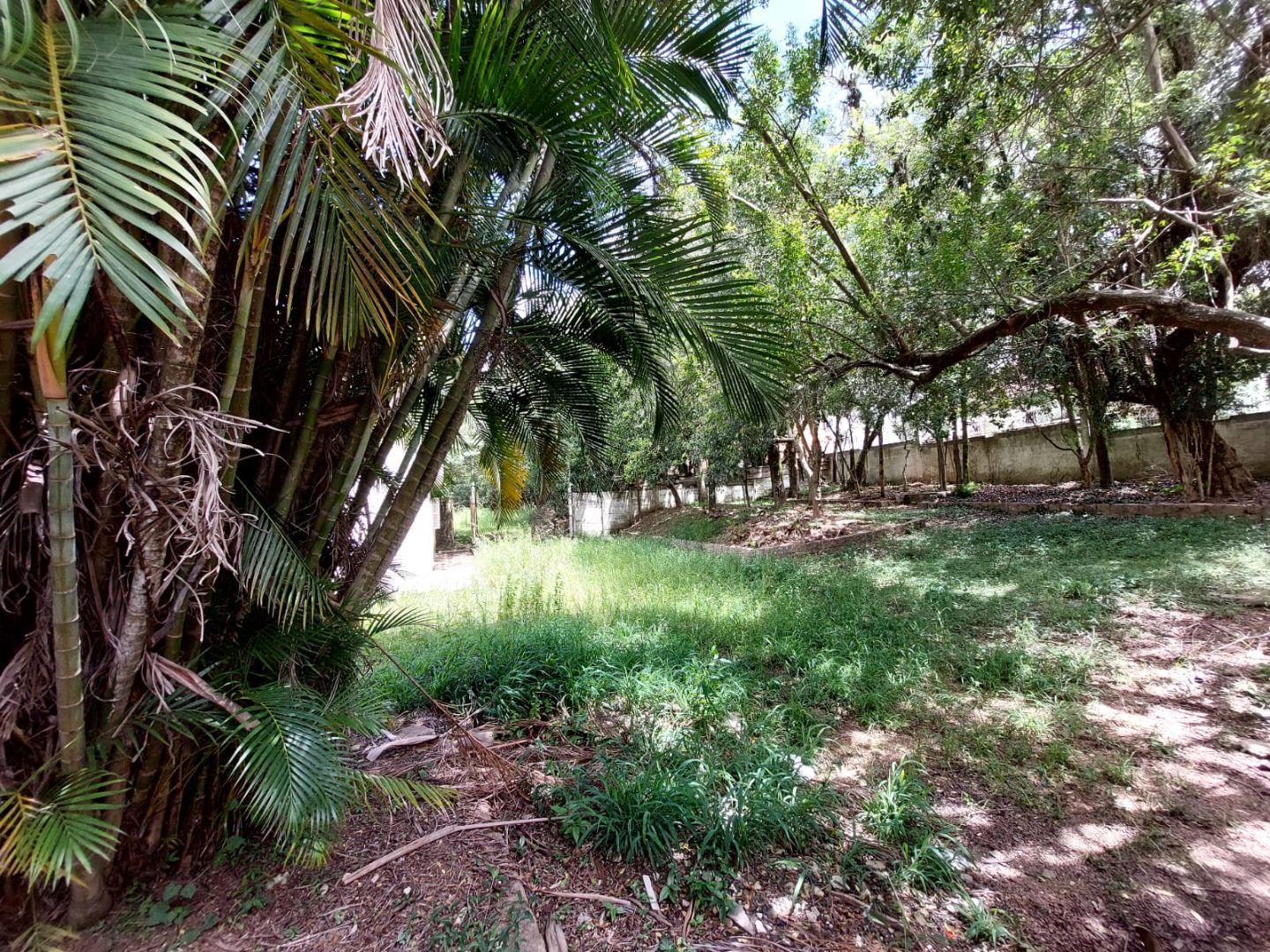 Terreno à venda, 4400m² - Foto 5