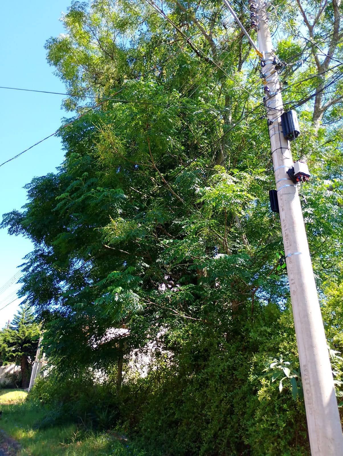 Terreno, 600 m² - Foto 3