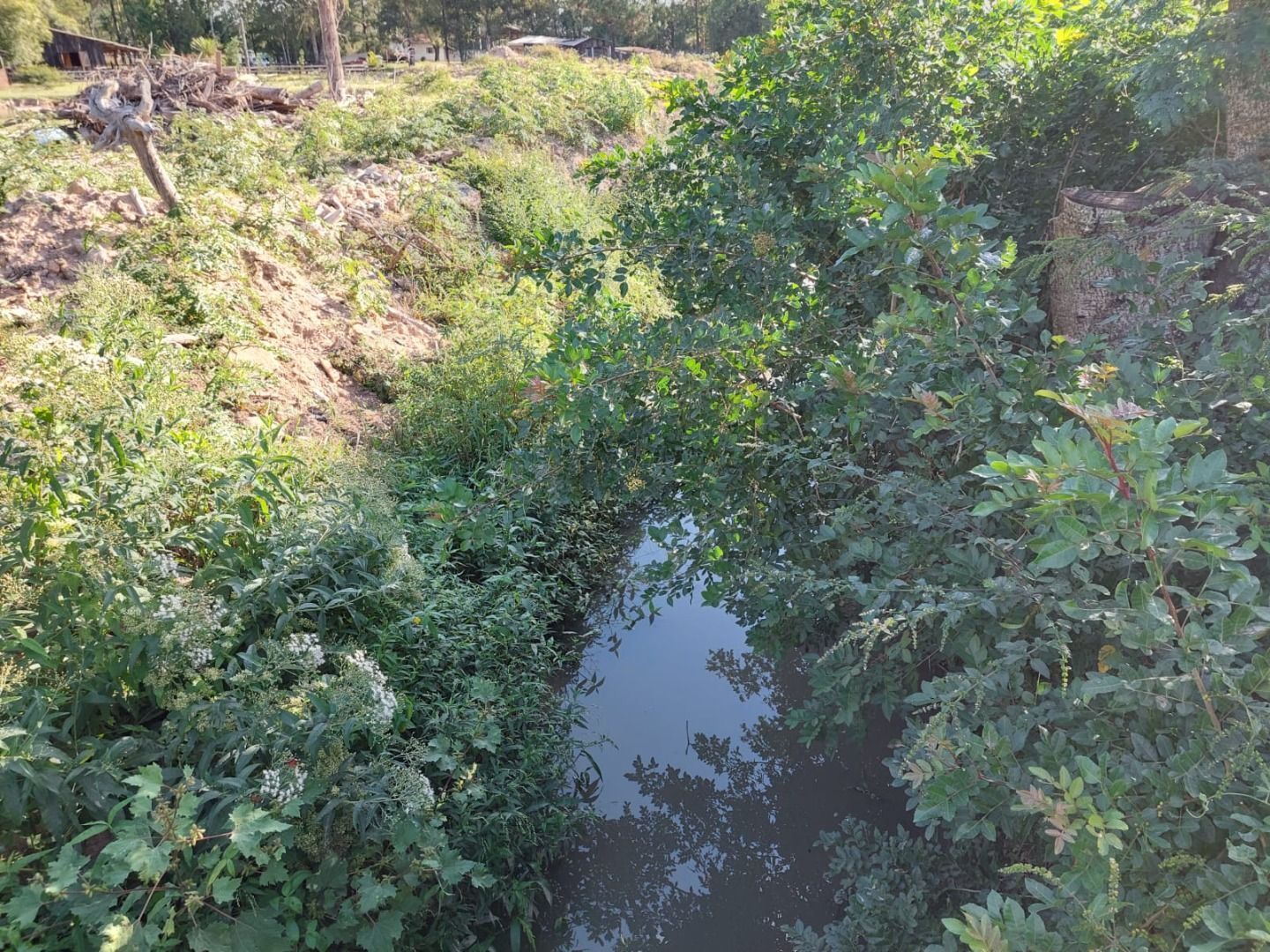 Casa, 4 quartos, 483 m² - Foto 27