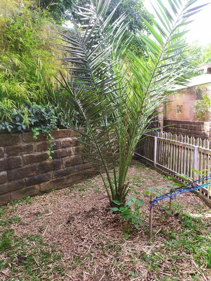 Casa, 3 quartos, 130 m² - Foto 25