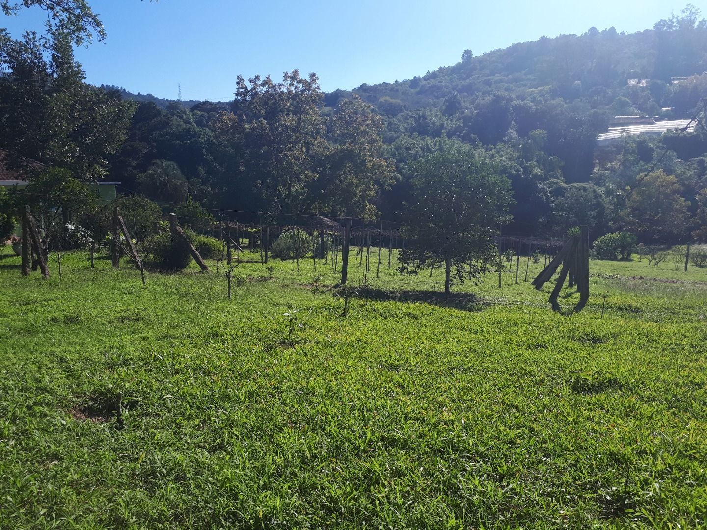 Terreno, 6390 m² - Foto 6