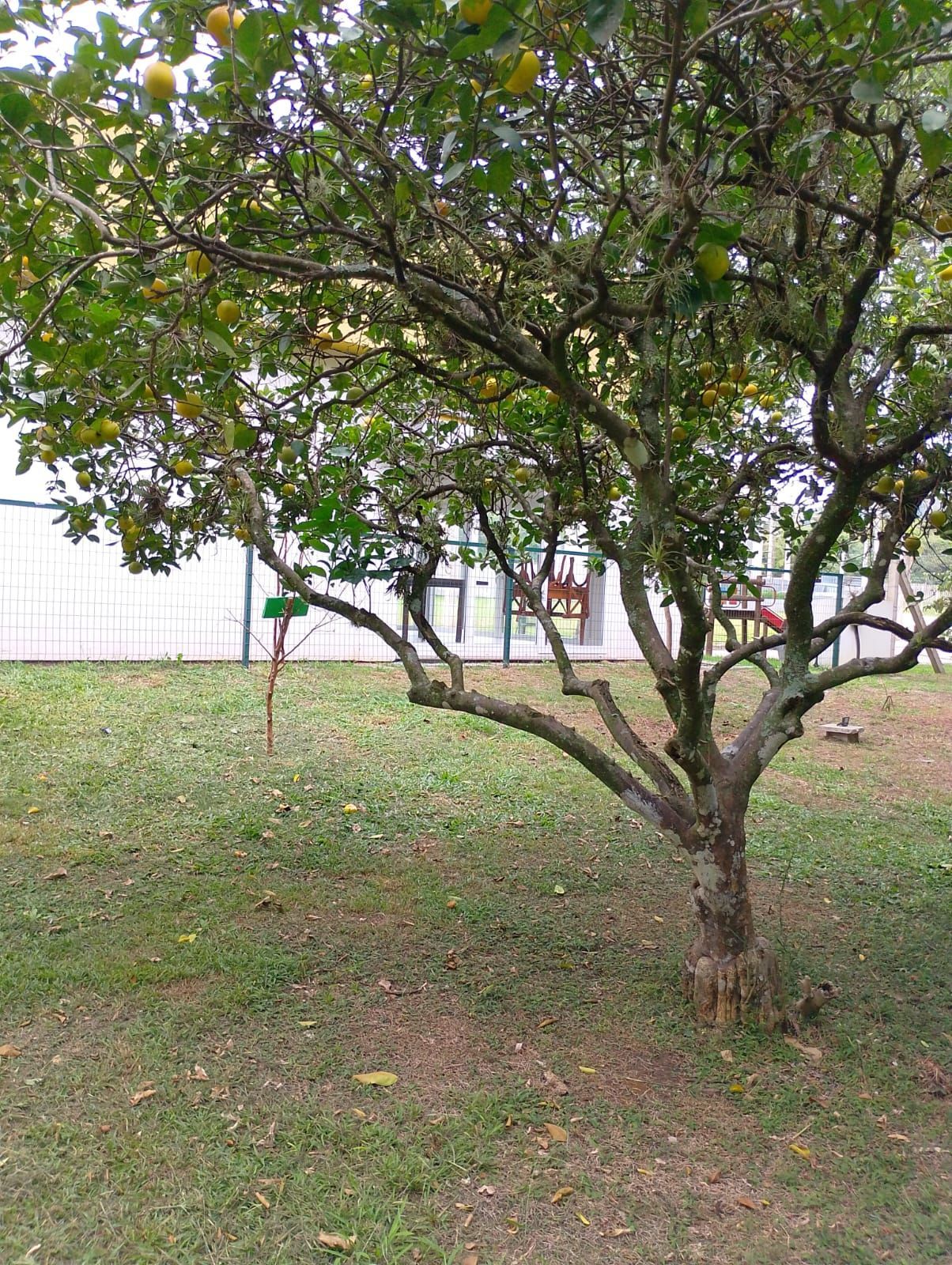 Terreno, 138 m² - Foto 3