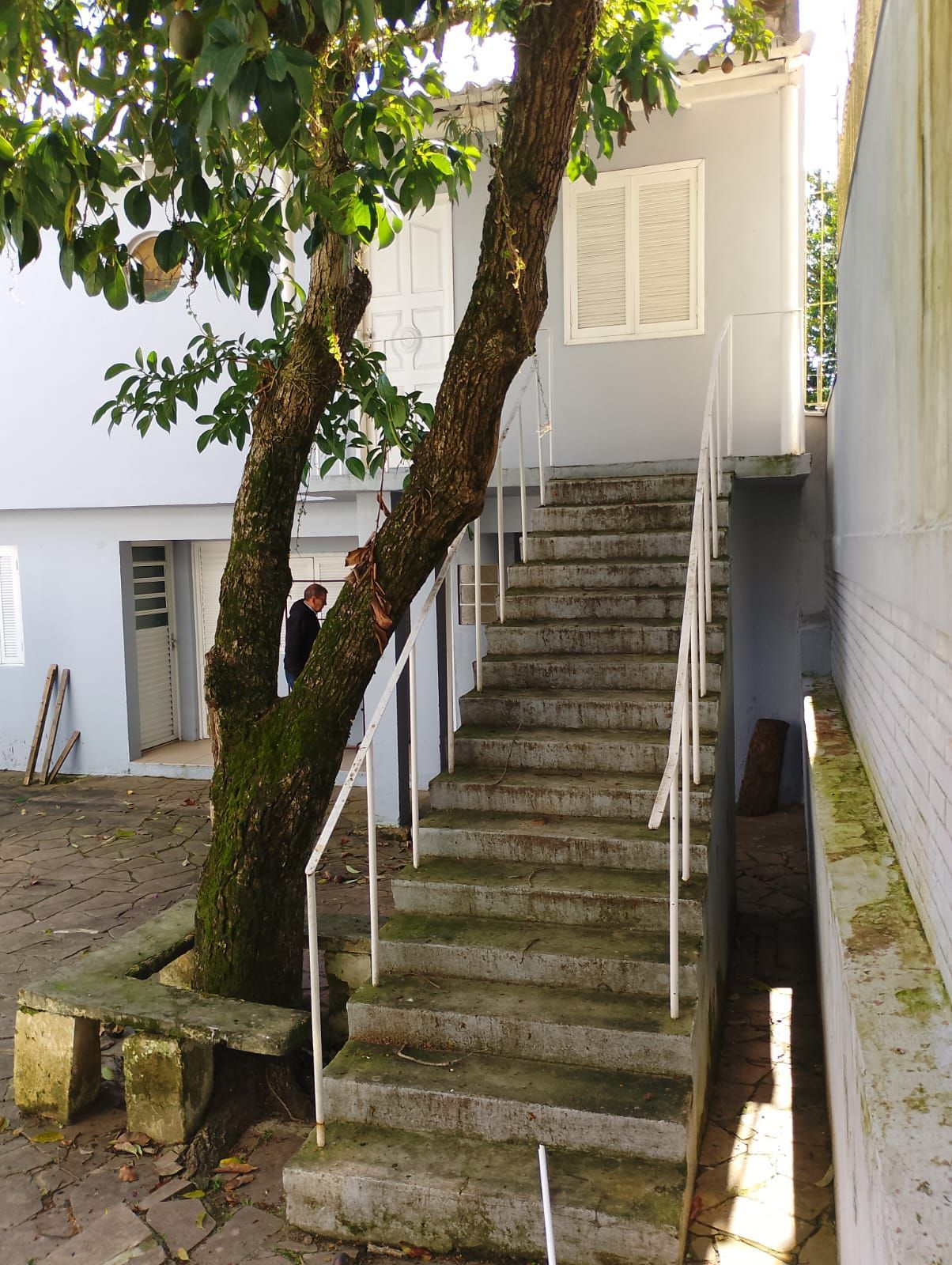 Casa, 6 quartos, 255 m² - Foto 6
