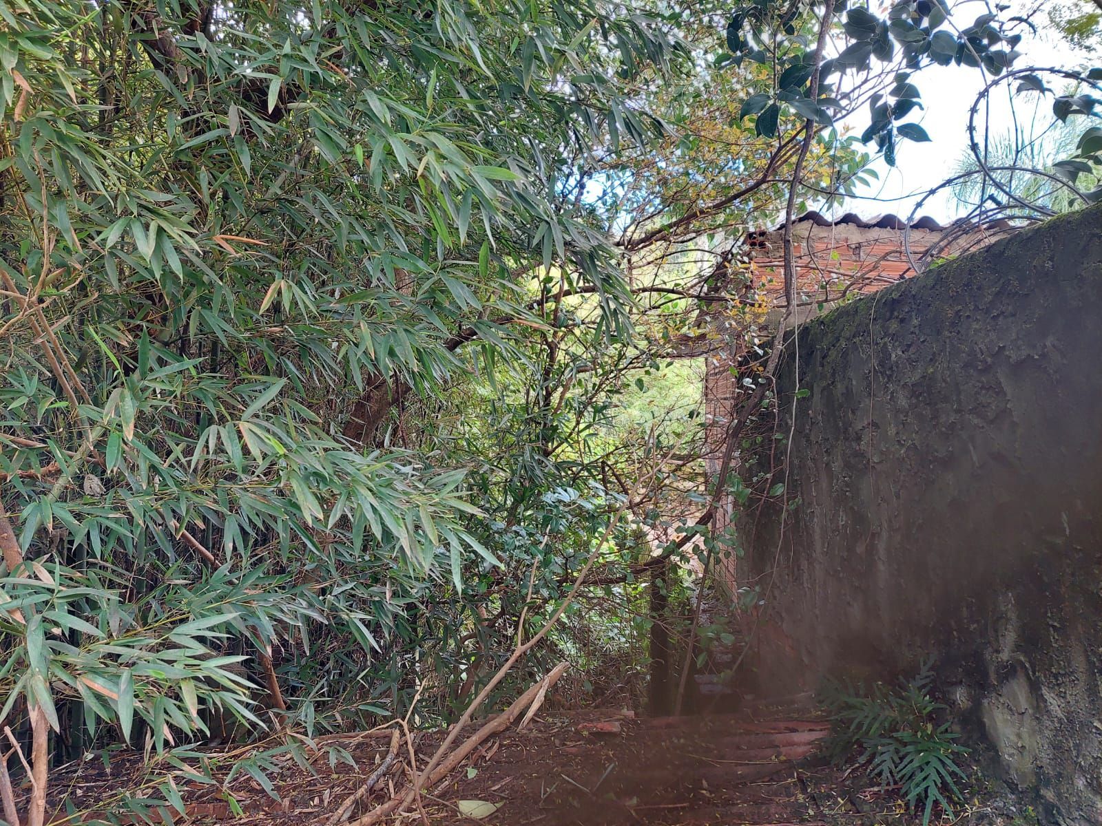 Terreno, 1 m² - Foto 6