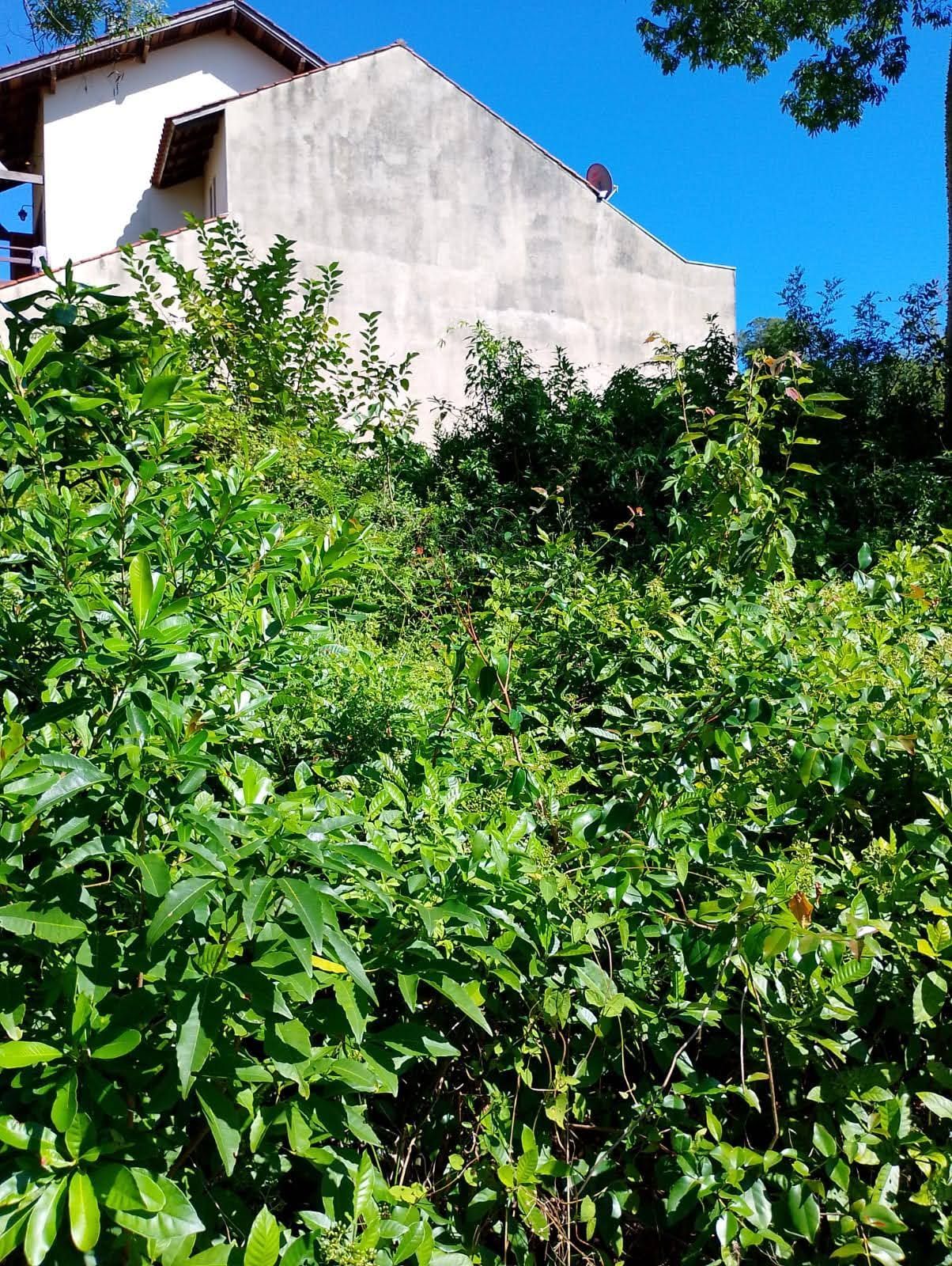 Terreno, 600 m² - Foto 11