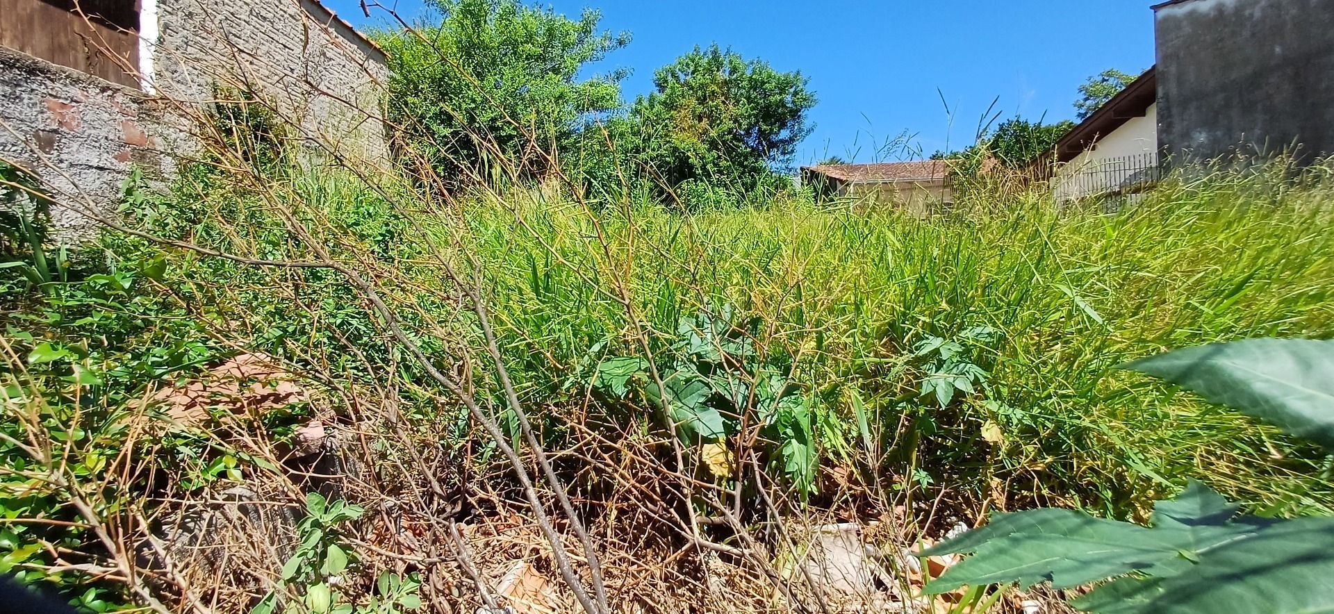 Terreno, 297 m² - Foto 8