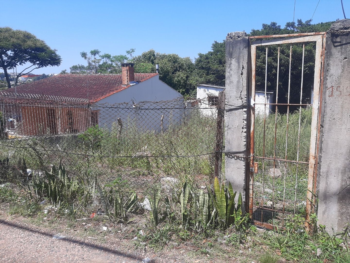 Terreno, 300 m² - Foto 1