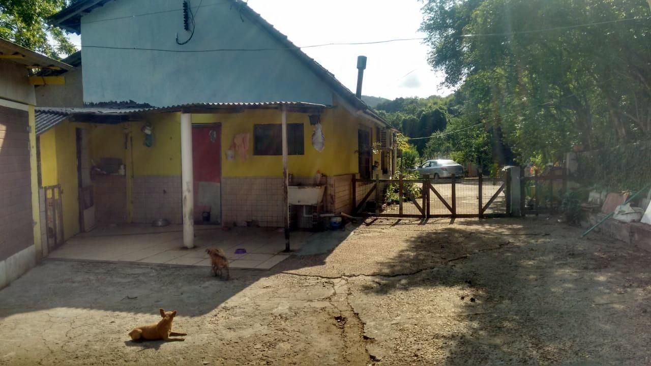 Terreno, 1 hectares - Foto 4