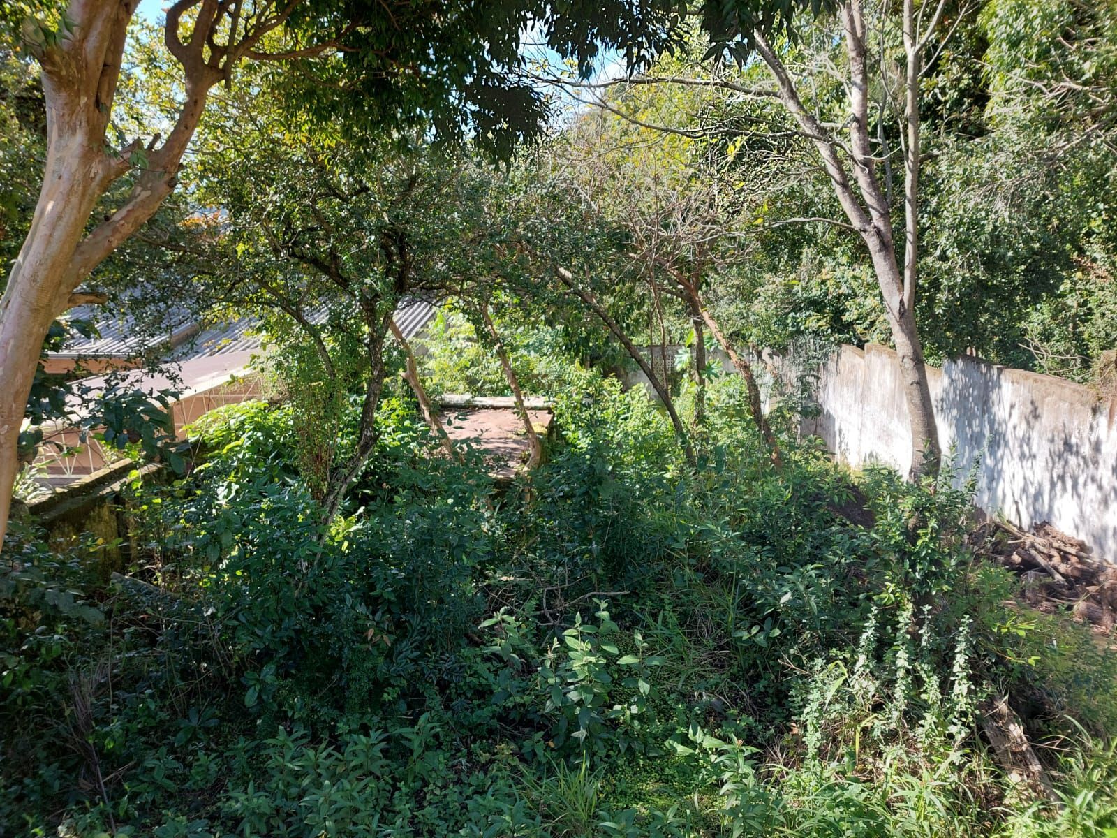 Terreno, 500 m² - Foto 3