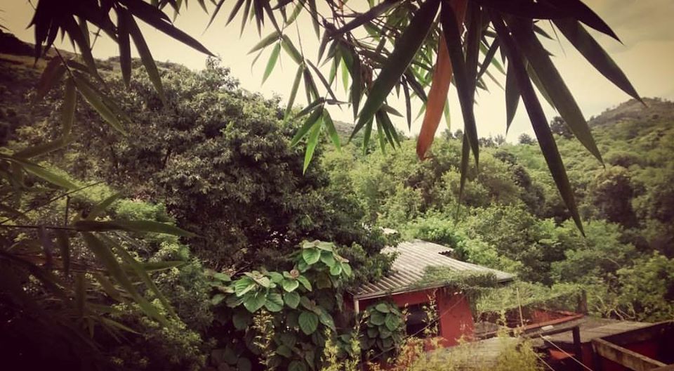 Casa, 3 quartos, 130 m² - Foto 23