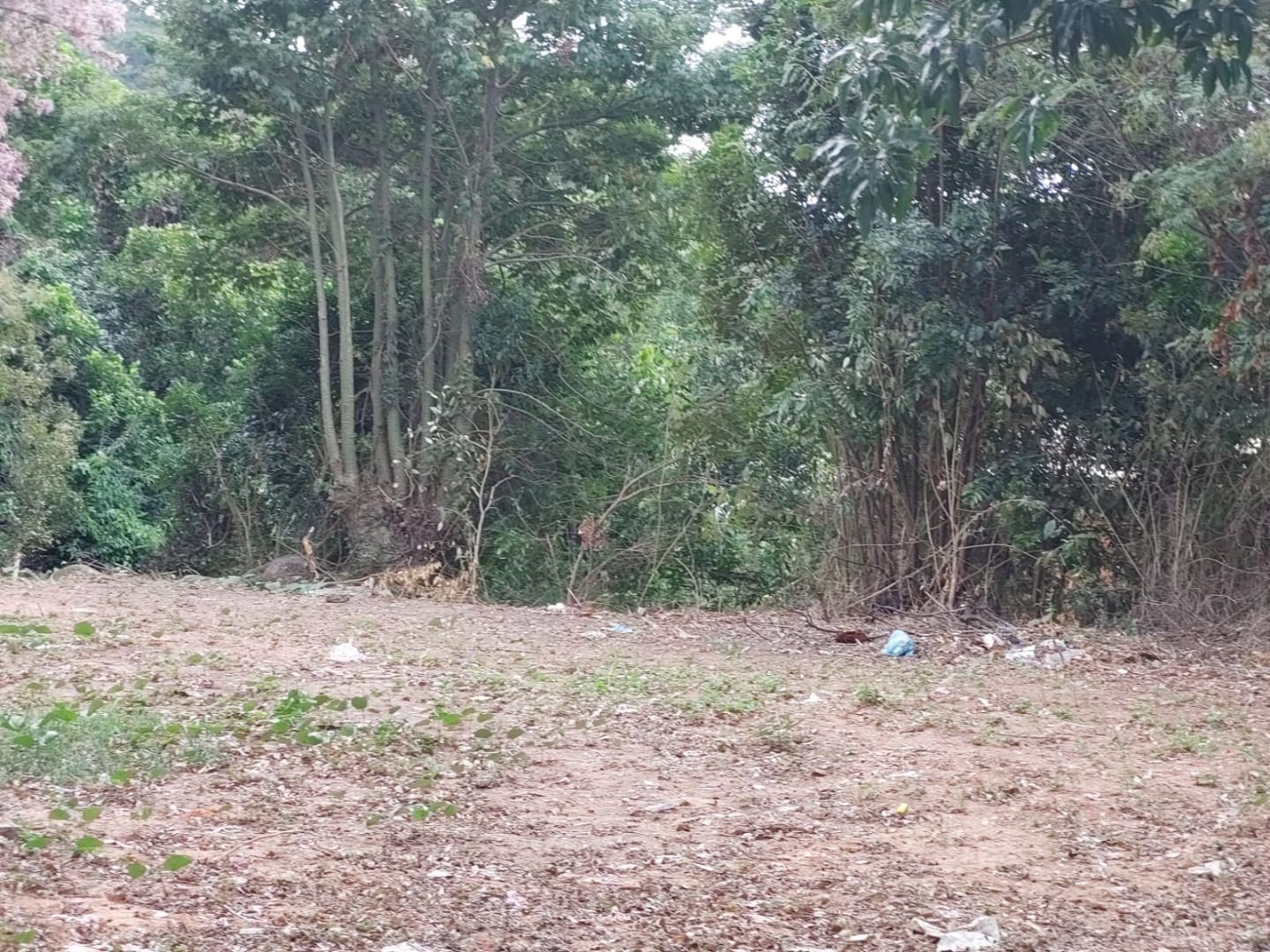 Terreno, 420 m² - Foto 8