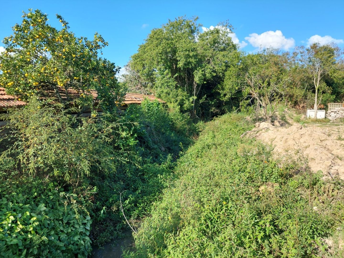 Casa, 4 quartos, 483 m² - Foto 30