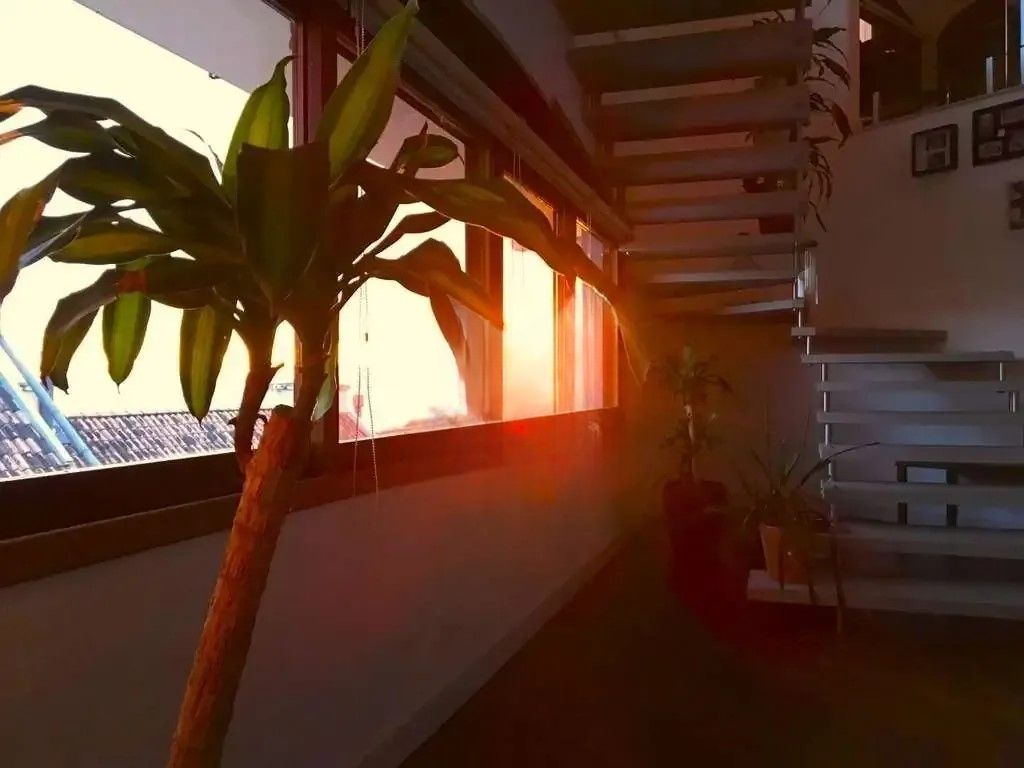 Casa, 5 quartos, 648 m² - Foto 14