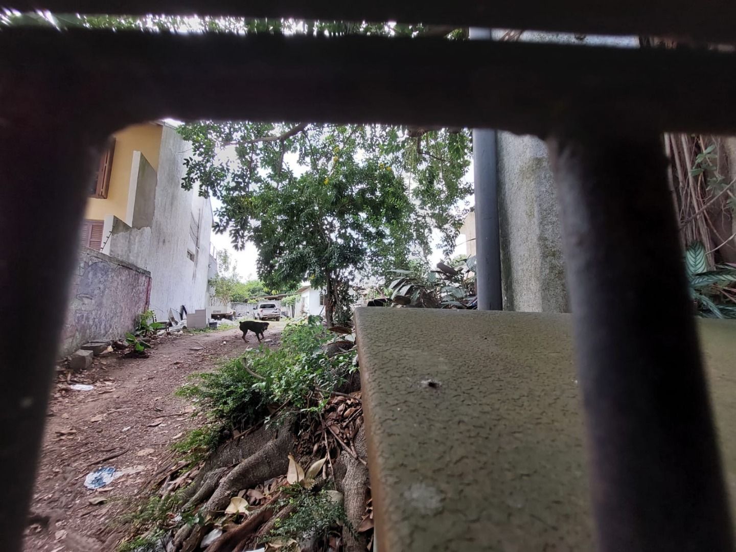 Terreno, 579 m² - Foto 6