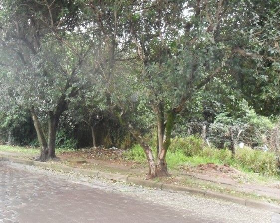 Terreno, 1200 m² - Foto 1