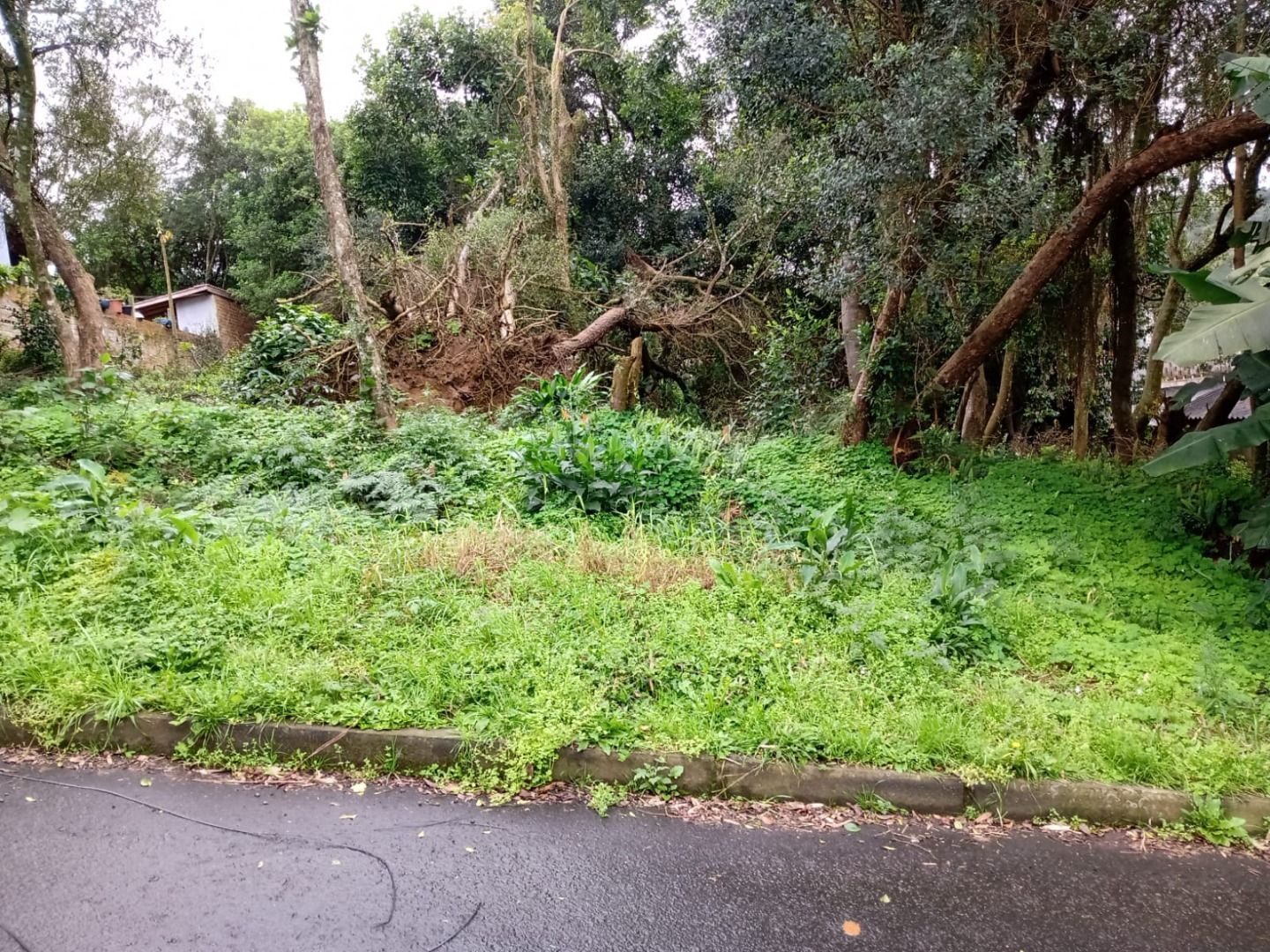 Terreno, 600 m² - Foto 1