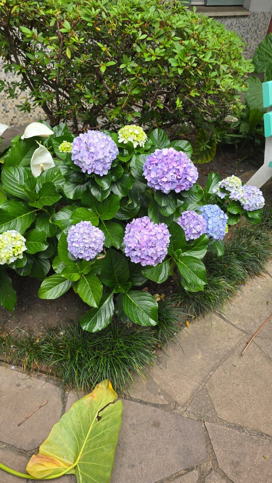 Apartamento, 1 quarto, 28 m² - Foto 5