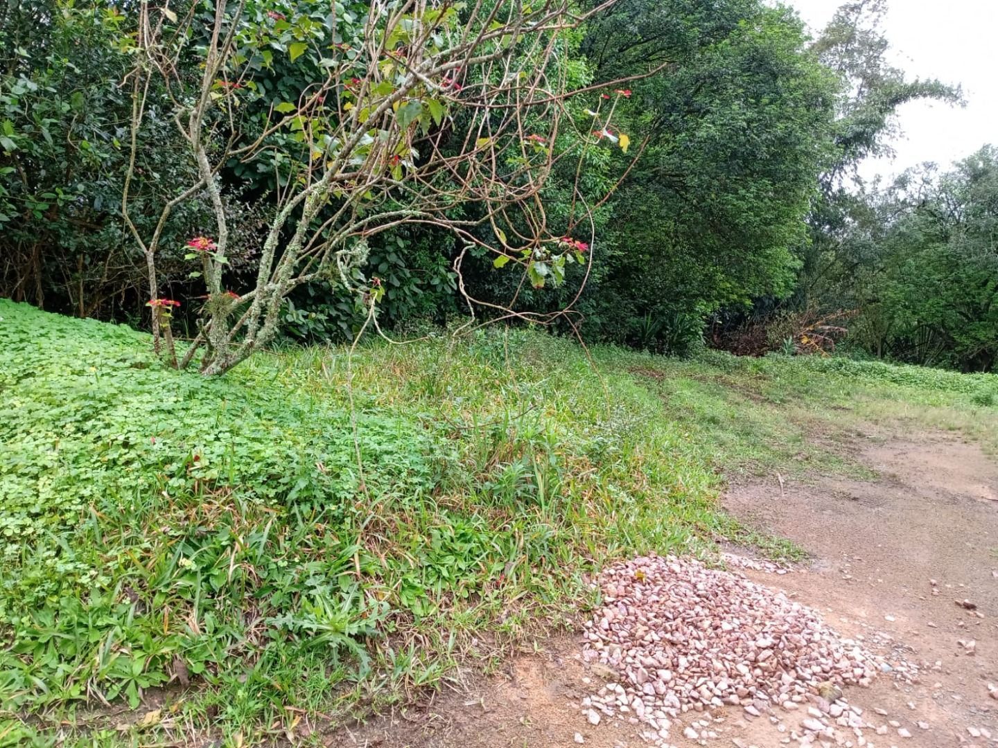 Terreno, 600 m² - Foto 3