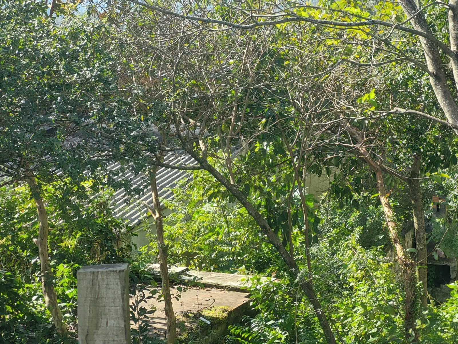 Terreno, 500 m² - Foto 5