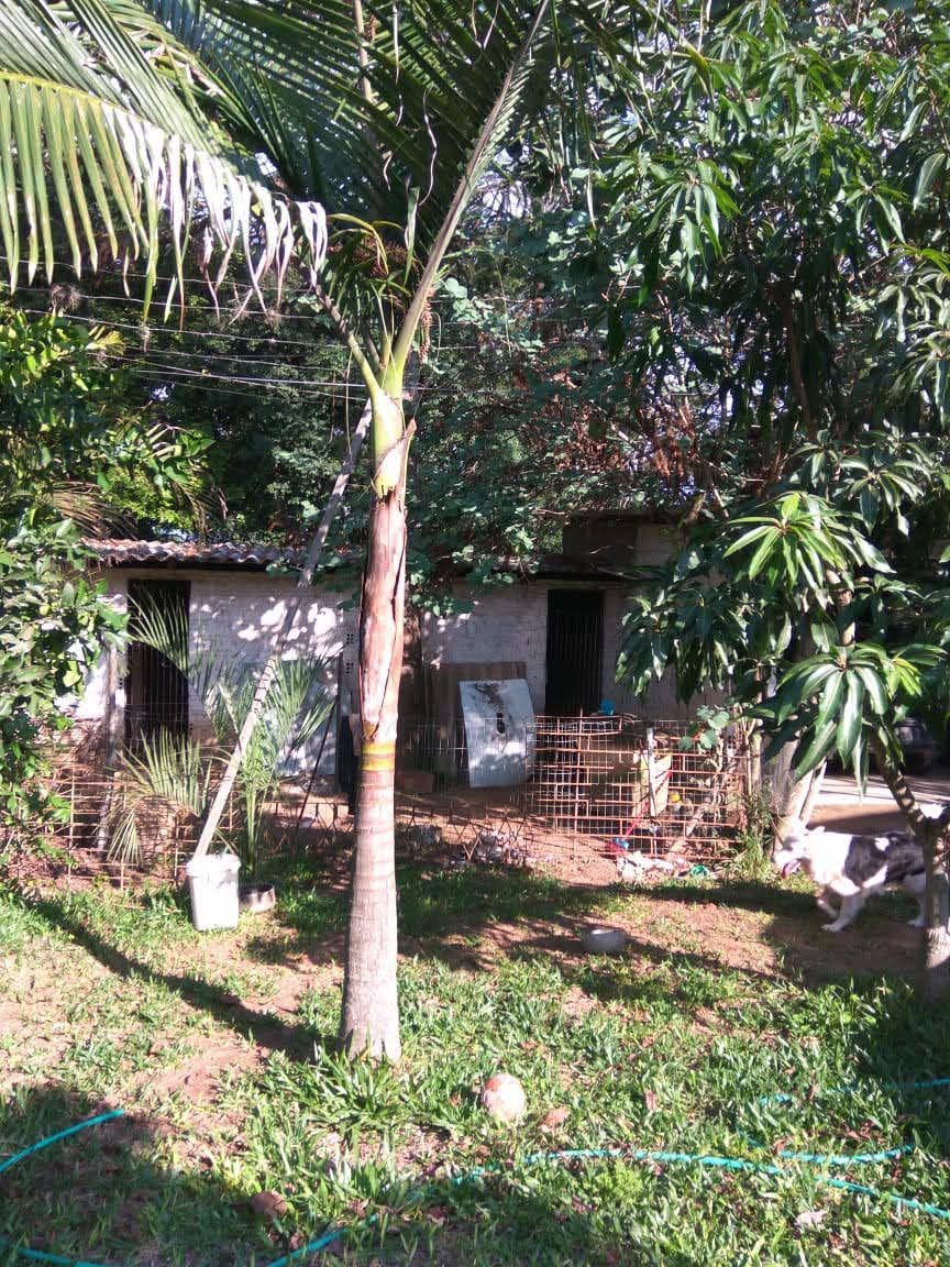 Terreno, 2793 m² - Foto 18