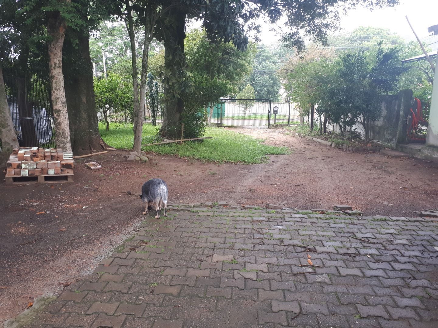 Casa à venda com 3 quartos, 296m² - Foto 31