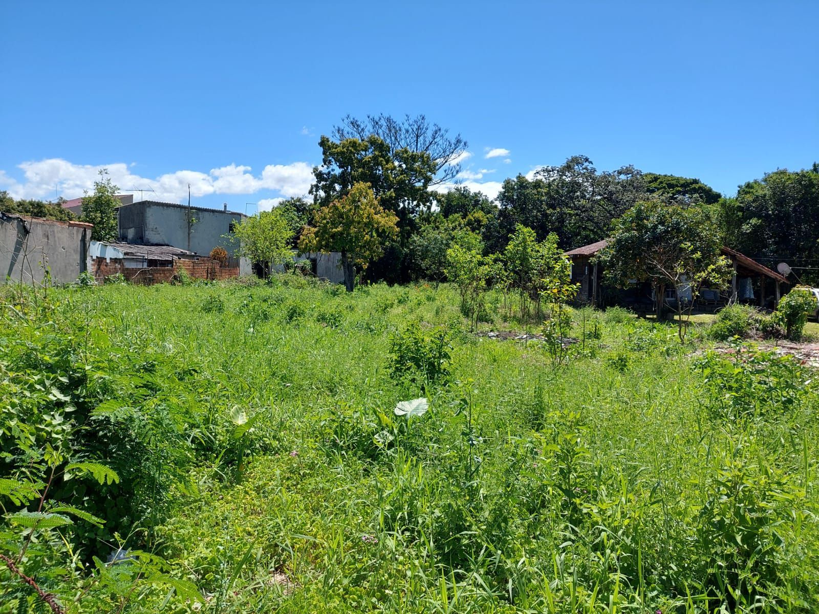 Terreno, 630 m² - Foto 16