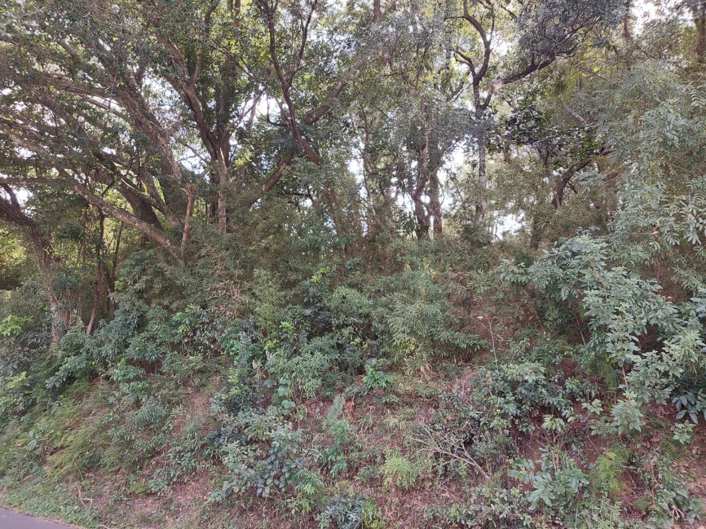 Terreno, 6700 m² - Foto 2