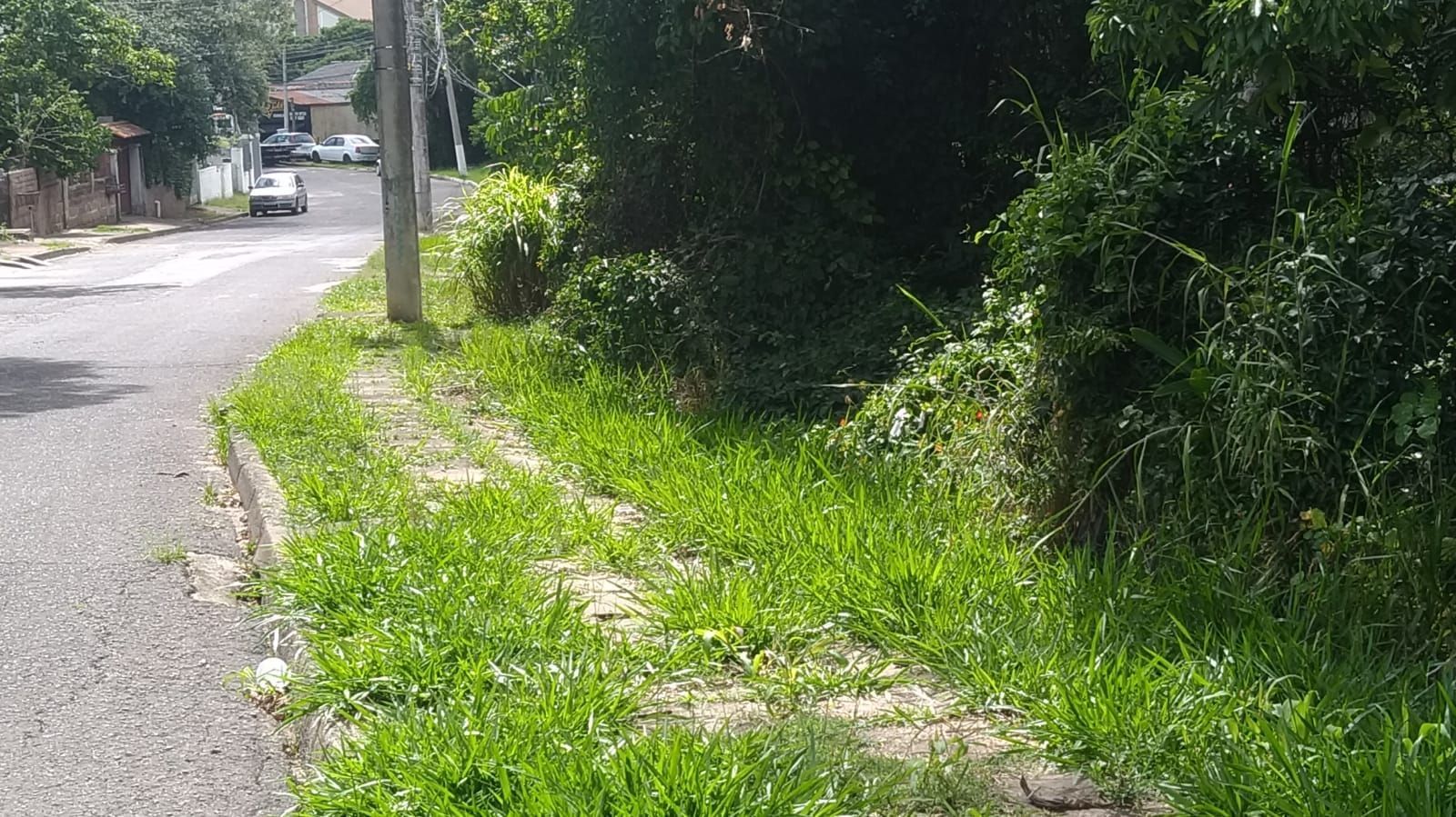 Terreno, 3597 m² - Foto 3