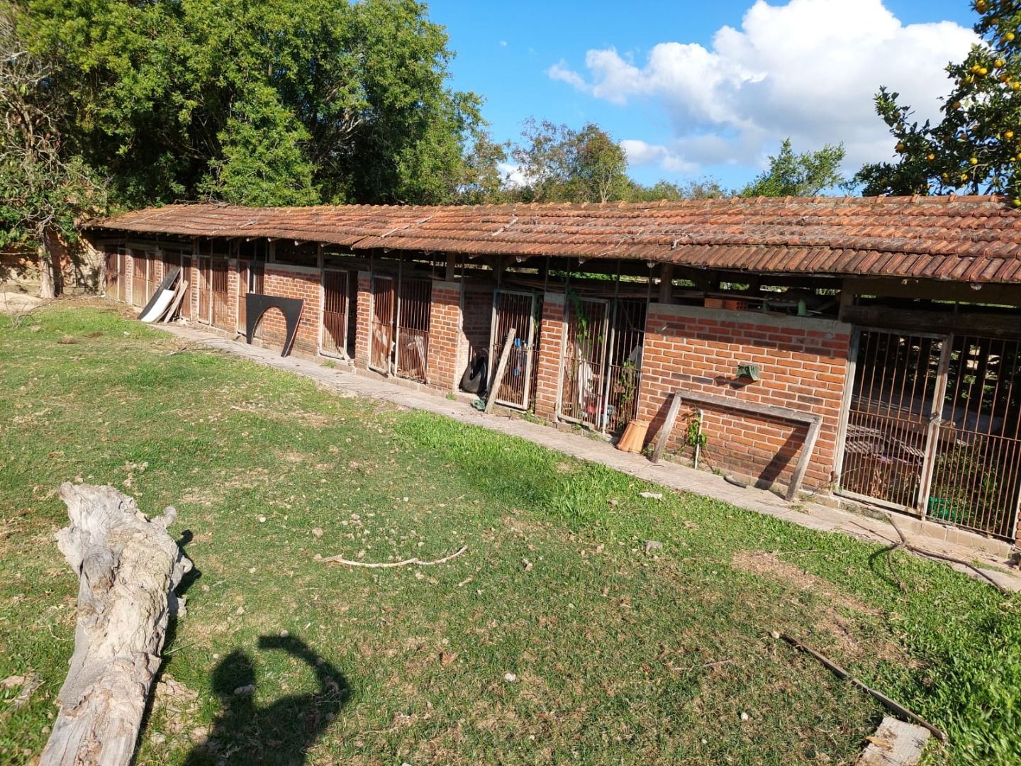 Casa, 4 quartos, 483 m² - Foto 32