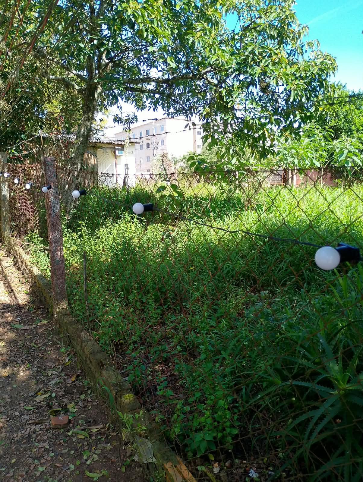 Terreno, 500 m² - Foto 9