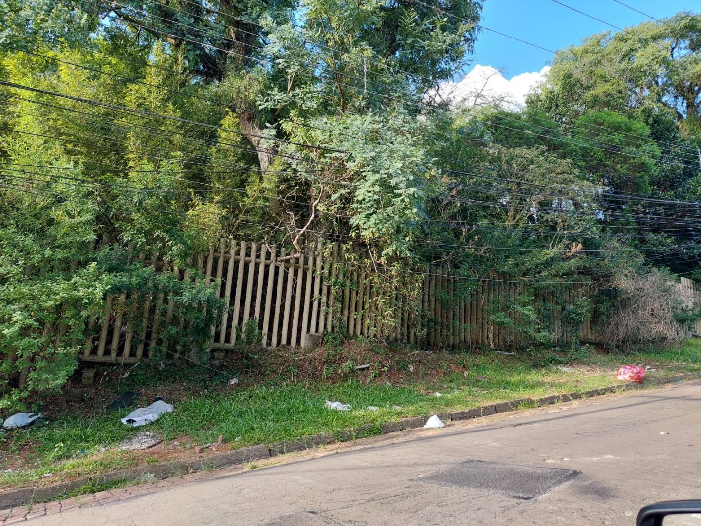 Terreno, 2747 m² - Foto 10