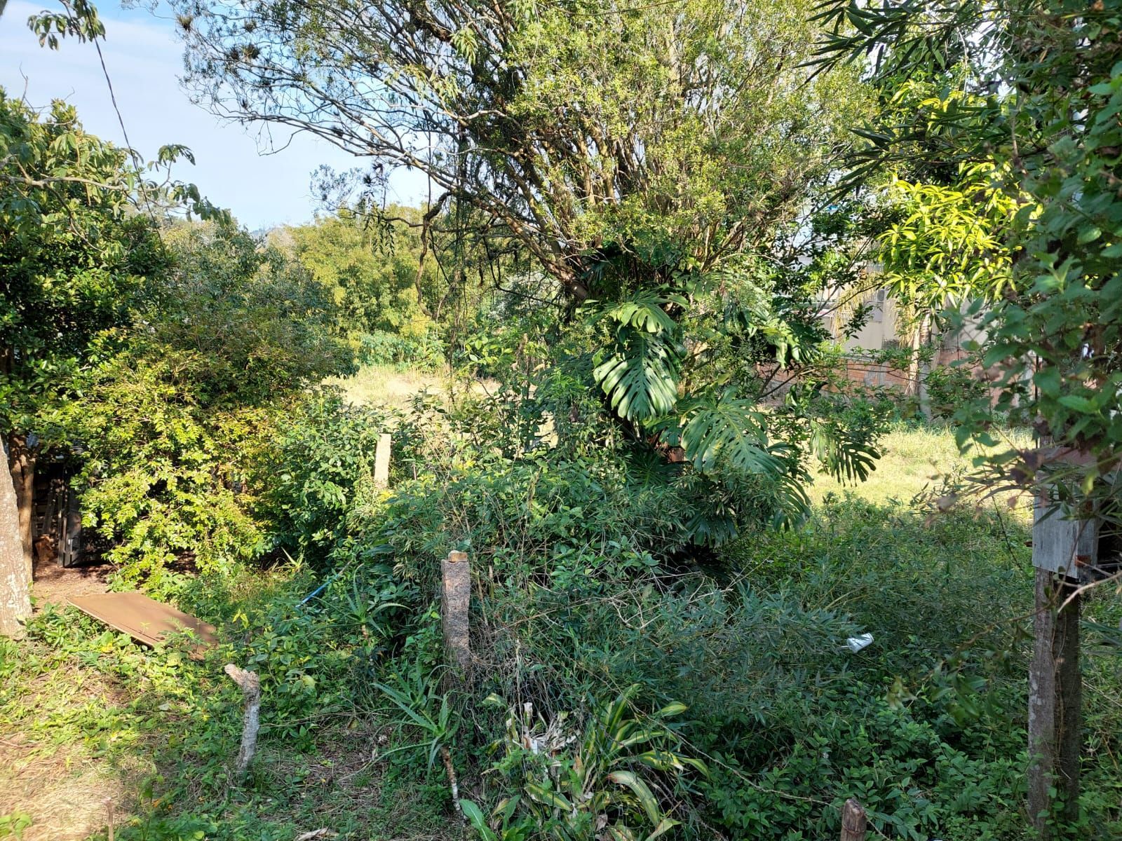 Terreno, 1500 m² - Foto 4